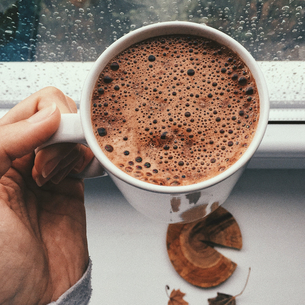 Buzzd Nutrition Immunity Hot Chocolate with adaptogenic mushrooms, chaga, reishi, shitake, mitake, turkey tail